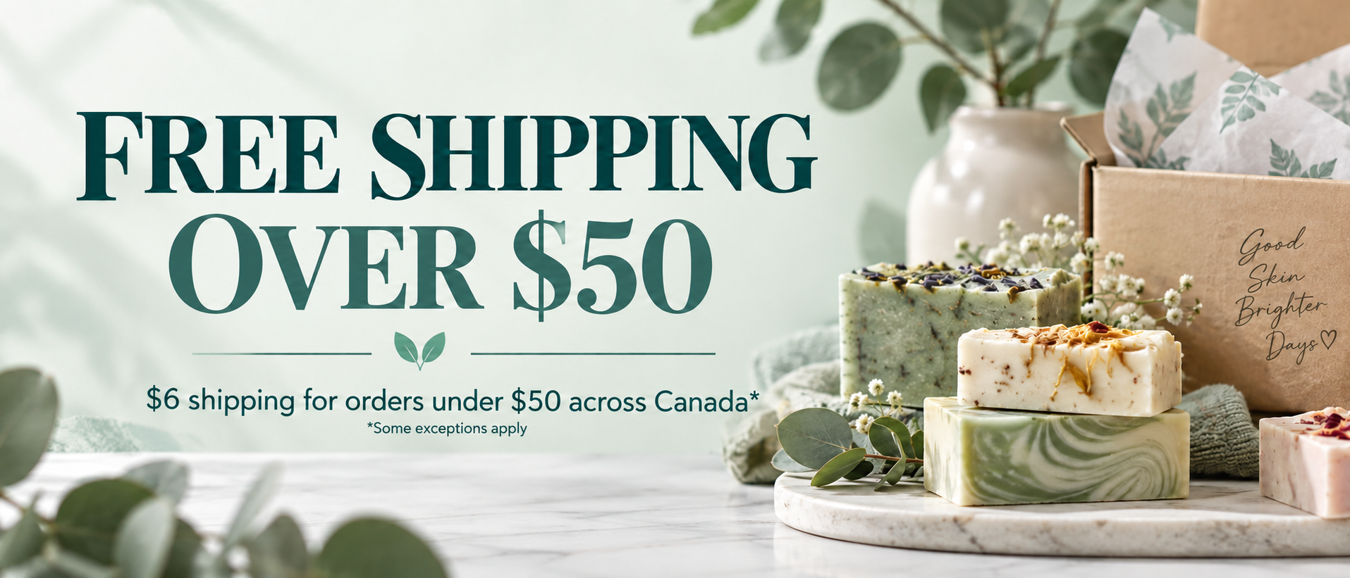 Free shipping over $50. $6 shipping for orders under $50 across Canada. Some exceptions apply. View shipping details.